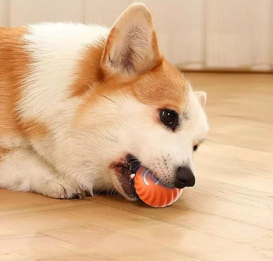 PawPulse™ Ball