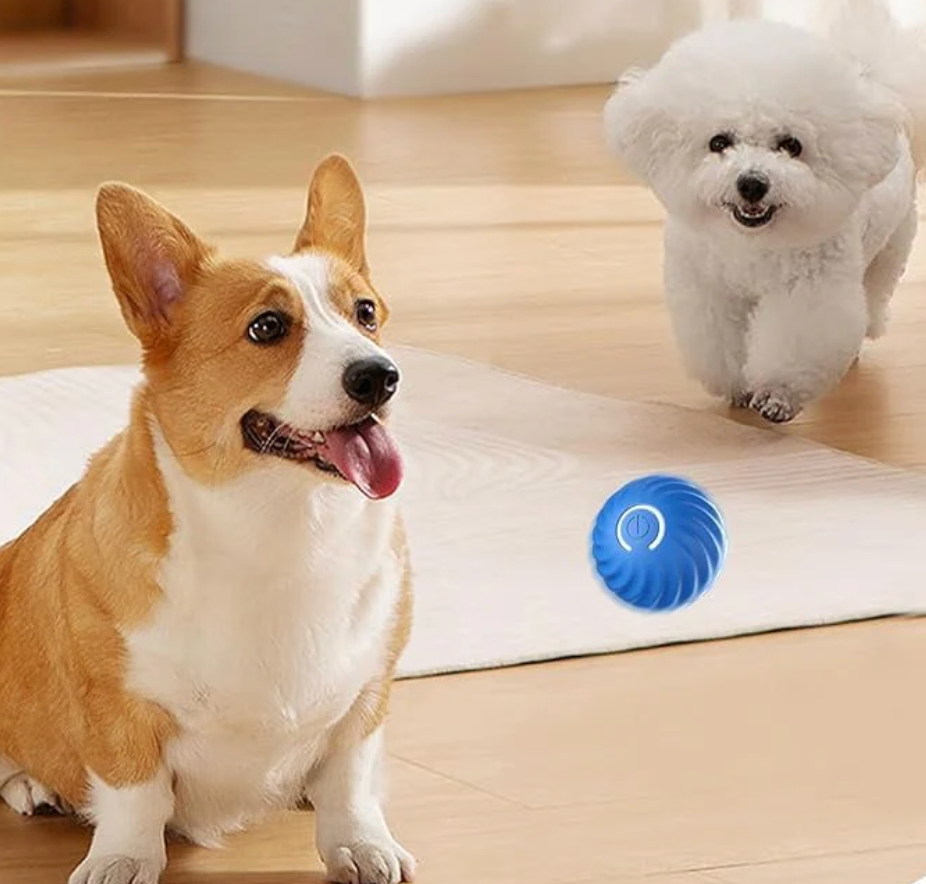 PawPulse™ Ball